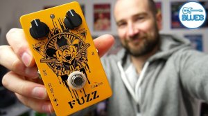 Caline Fuzzy Bear CP-46 Fuzz Pedal Review (Hendrix Fuzz Face Style)