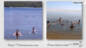 Архимедова сила Физика 7 класс