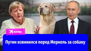 «Ангела, извини! Не хотел причинить тебе душевной боли»: Путин извинился перед Меркель за собаку