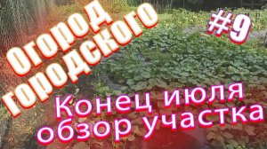28е июля 2018