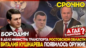 Бородин: В деле министра транспорта Ростовской области Виталия Кушнарева появилось оружие.