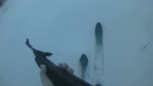 охота с МР 512 ч4