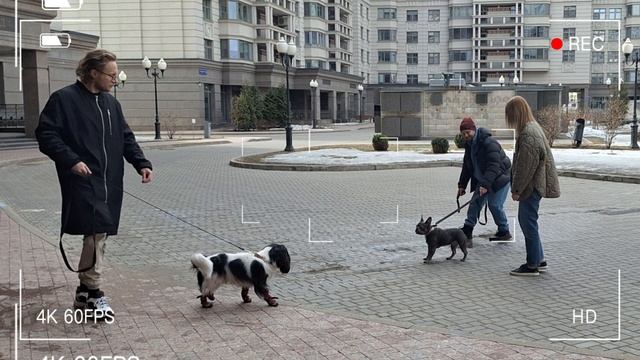 Внимание! ШОК! Как не нужно работать с зооагрессией.