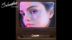 Bad Liar (Lyrics/Vietsub) - Selena Gomez