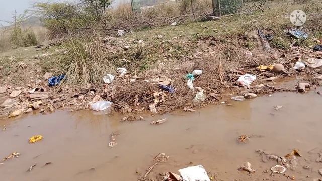 pagal log nadi mein plastic or foto kyun dal dete hain смотреть онлайн