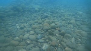 Дайвинг в СОЧИ (Чёрное море ) Погружение на 10 метров .