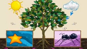 "Plant or Animal" Life Science Song for Kids by Waterford.org