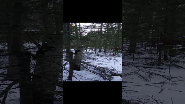 1000015675.mp4