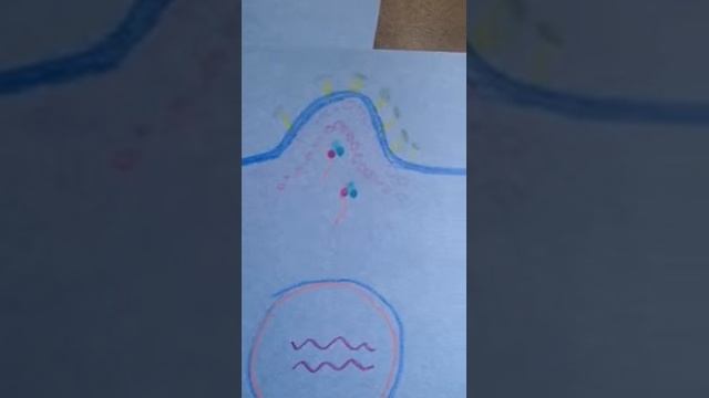 MCRO 402-HIV Attachment and Replication смотреть онлайн