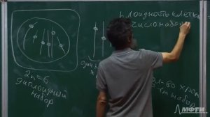 Окштейн Цитология Лекция 7