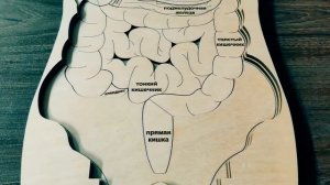Пазл "Анатомия человека" из фанеры