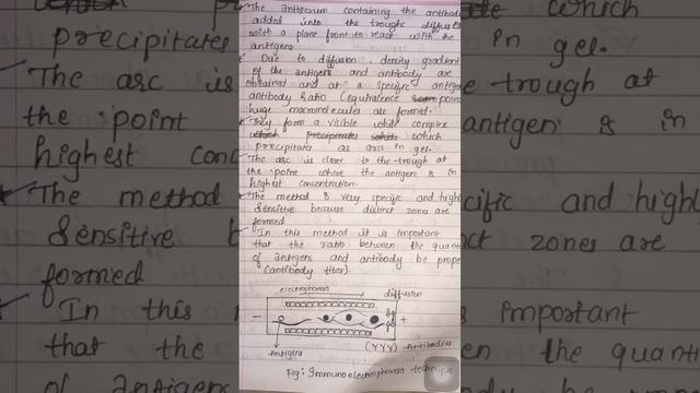 Notes on Immunoelectrophoresis-Definition,Principle,Applications,Advantages & Disadvantages. смотреть онлайн
