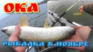 Когда погода Г.....О, но на рыбалку хочется. Троллинг. Середина ноября.