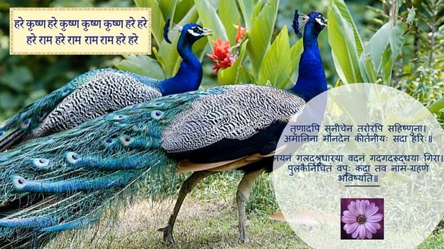 Mahamantra हरे कृष्ण _15 - Hare Krishna Hare Krishna Krishna Krishna Hare Hare-Hare Ram Hare Ram