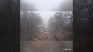 Сола Монова. Не умирайте, принц!