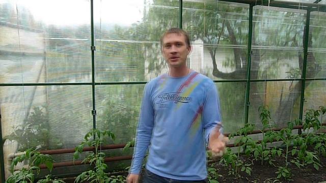 Пчеловодство с нуля / Своя пасека // Жизнь в деревне