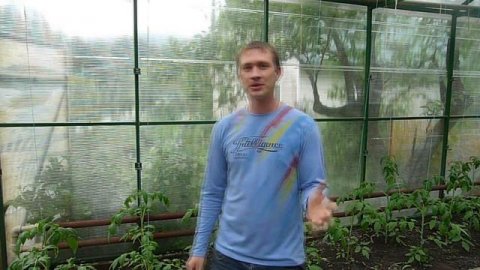 Пчеловодство с нуля / Своя пасека // Жизнь в деревне