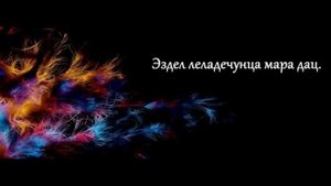 Дай кицаш
