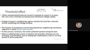 14  Axonal Propagation