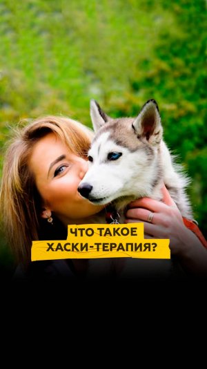 Что такое хаски-терапия?