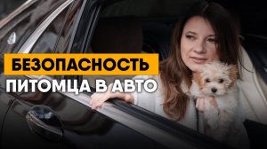 Правила перевозки собак. Щенок в переноске. Как себя ведет питомец в пути.  Автокресло для собак.