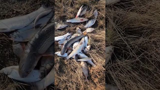 13 декабря 2022 г. смотреть онлайн