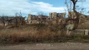 СВЕТЛЫЕ НАДЕЖДЫ