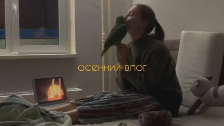 вяжу свитер с птицей крючком