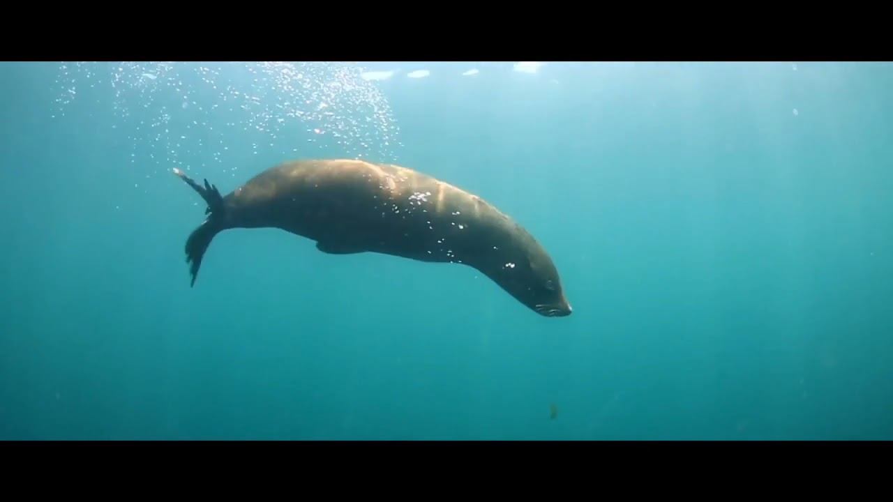 УЗНАЙ СВОЙ СМЫСЛ ЖИЗНИ!!! смотреть онлайн