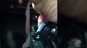 замена  птф на HAVAL F7X