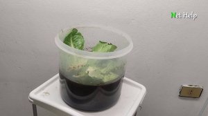 free gas - Companies don't want you to know this way. Learn it yourself