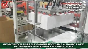 Алджипак автоматическая линия упаковки продукции в картонных пачках в транспортный картонный короб