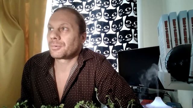 ПМП = технология человековедения смотреть онлайн