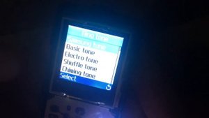 Samsung SGH-B100 ringtones