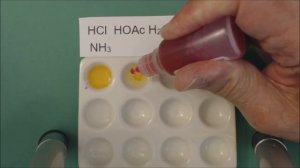 Phenol Red Indicator