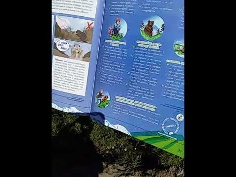 Экология Камчатки - правила туриста и местного путешественника