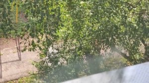 за окном после дождя вечером