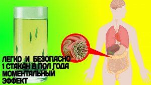 Моментальное выводение ГЛИСТОВ и других ПАРАЗИТОВ из организма каждый день пью эту смесь...........