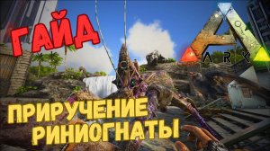 КАК ПРИРУЧИТЬ РИНИОГНАТУ??? #ГАЙД в ARK Survival Evolved