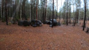 Глубинка Кировской области.  Поездка к Жуковлянским валунам.
