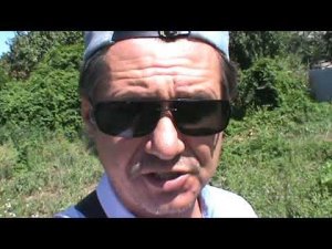 о рабской сущности