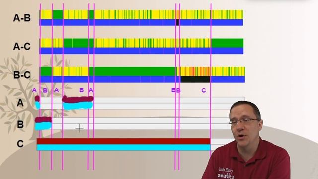 Visual Phasing Part 2: Create Segments Based On Sibling Shared DNA