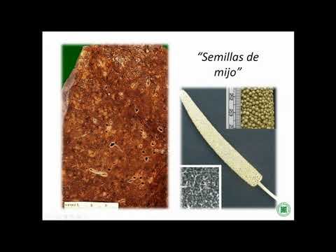 Teoria 10 Tto Anti TBC смотреть онлайн