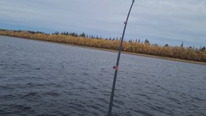 Аэратор своими рукуми