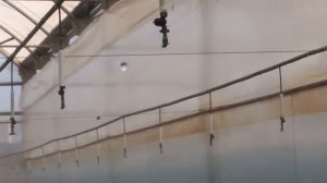 Миниспринклер "Green spin" (пр-во "NaanDanJain", Израиль)