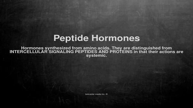 Medical vocabulary: What does Peptide Hormones mean