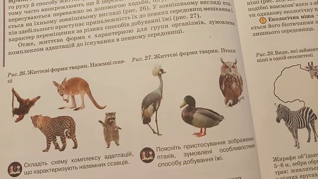 11 Клас Життєві форми організмів