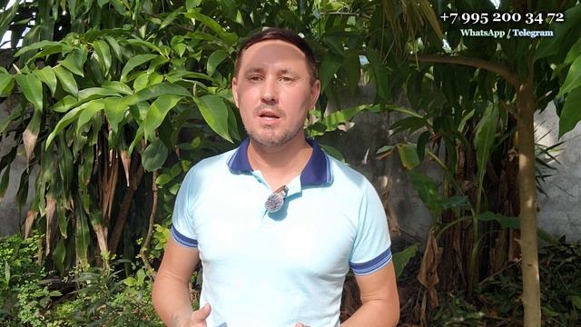 В каком сегменте лучше покупать недвижимость на Бали? Инвестиции в недвижимость на Бали