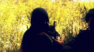 Моторолла в боях за Николаевку