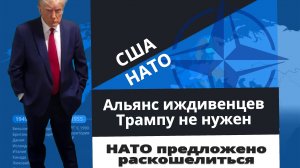 Дональд Трамп собирается серьёзно разобраться с НАТО